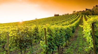 Terreno agricolo di 42.000 m² in Cavriana (46040)