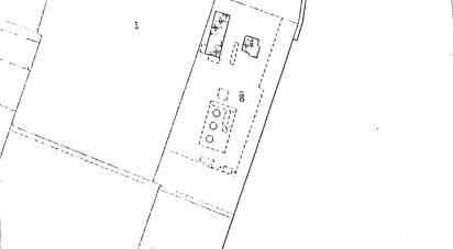 Varie superfici di 1.000 m² in Montechiarugolo (43030)
