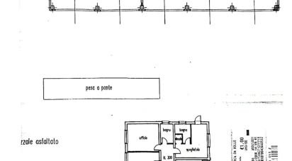 Varie superfici di 1.000 m² in Montechiarugolo (43030)