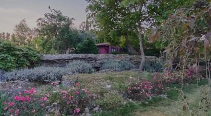 Casale 11 locali di 320 m² in Capranica (01012)