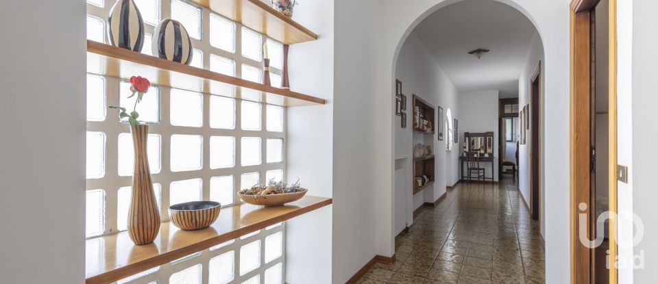 Immobile di prestigio 35 locali di 1.000 m² a Castelfidardo (60022)