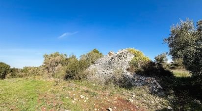 Trullo 0 locali di 28.640 m² in Martina Franca (74015)