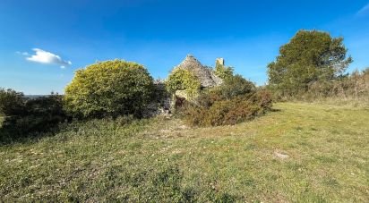Trullo 0 locali di 28.640 m² in Martina Franca (74015)