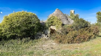 Trullo 0 locali di 28.640 m² in Martina Franca (74015)