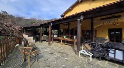 Casa indipendente 8 locali di 140 m² in Stella (17044)