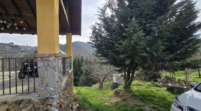 Casa indipendente 8 locali di 140 m² in Stella (17044)