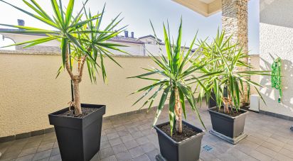 Trilocale di 95 m² a Cesano Maderno (20811)