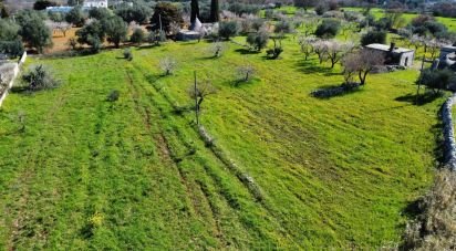 Trullo 8 locali di 200 m² in Ostuni (72017)