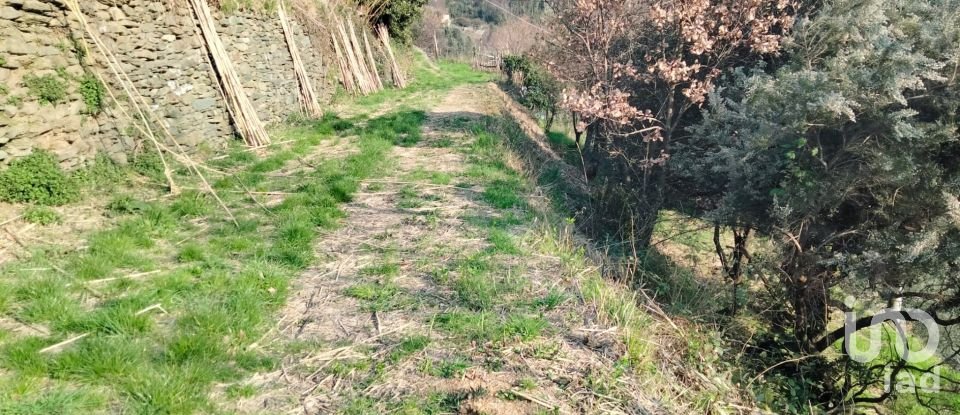 Country home 6 rooms of 142 m² in Varazze (17019)