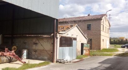 Casa indipendente / Villa 14 locali di 942 m² in Jesi (60035)