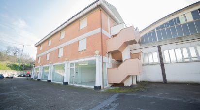 Costruzione di 5.000 m² in Urbino (61029)
