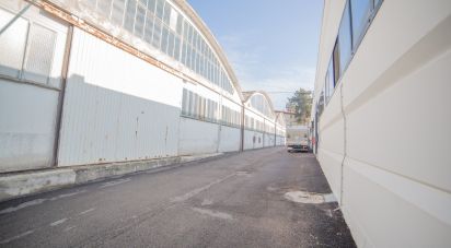Costruzione di 5.000 m² in Urbino (61029)