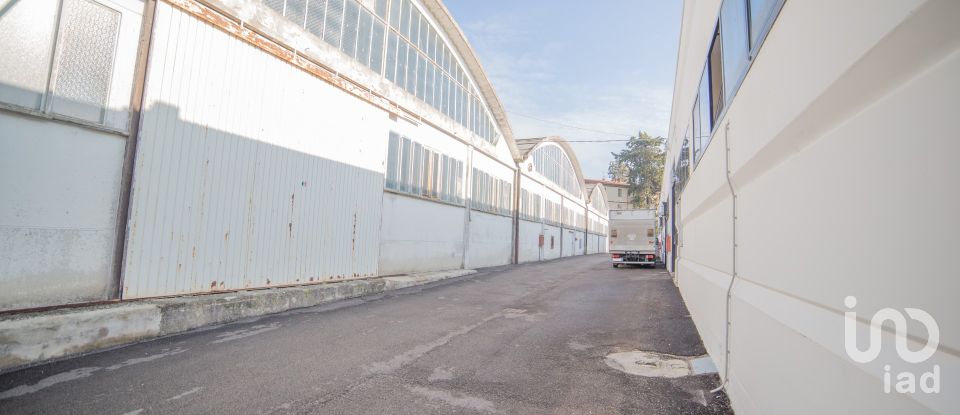 Block of flats in Urbino (61029) of 5,000 m²