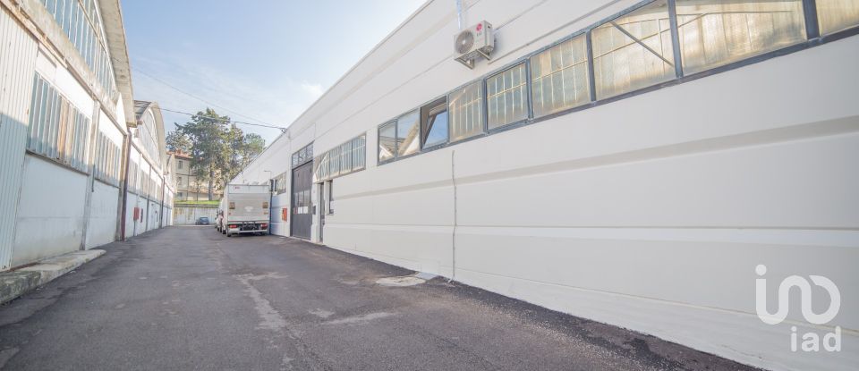 Block of flats in Urbino (61029) of 5,000 m²