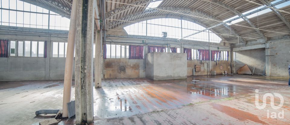 Block of flats in Urbino (61029) of 5,000 m²