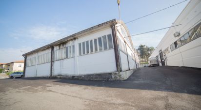 Costruzione di 5.000 m² in Urbino (61029)