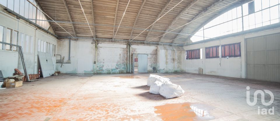 Block of flats in Urbino (61029) of 5,000 m²