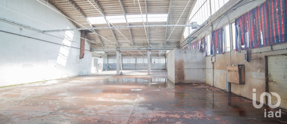 Block of flats in Urbino (61029) of 5,000 m²