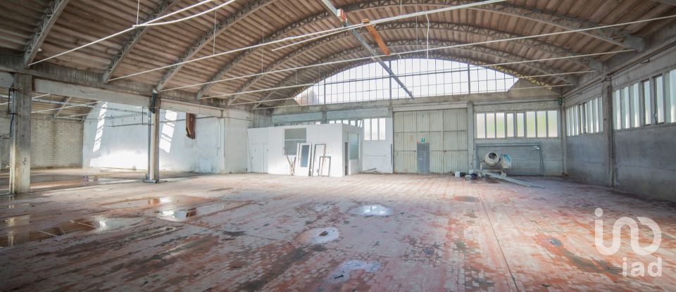 Block of flats in Urbino (61029) of 5,000 m²