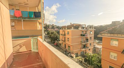 Bilocale di 110 m² a Genova (16132)