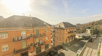 Bilocale di 110 m² a Genova (16132)