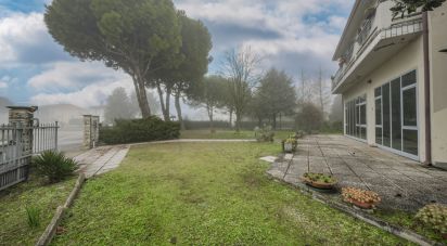 House 7 rooms of 513 m² in Portomaggiore (44015)
