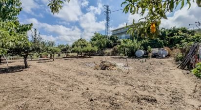 Costruzione di 406 m² in Joppolo (89863)