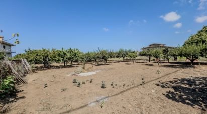 Costruzione di 406 m² in Joppolo (89863)