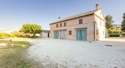Villa Bifamiliare 5 locali di 245 m² a Osimo (60027)