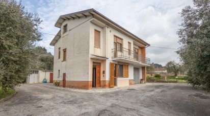 Casa indipendente 8 locali di 233 m² in Treia (62010)
