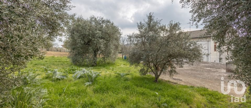 Townhouse 8 rooms of 233 m² in Treia (62010)