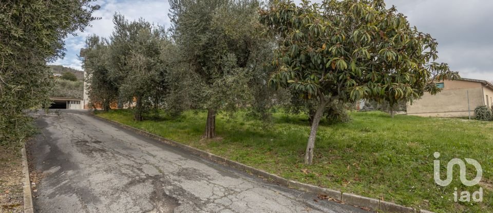 Townhouse 8 rooms of 233 m² in Treia (62010)