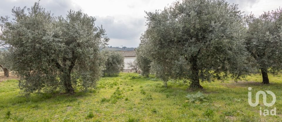 Townhouse 8 rooms of 233 m² in Treia (62010)