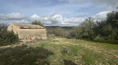Terreno agricolo di 44.997 m² in Noto (96017)