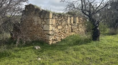 Terreno agricolo di 44.997 m² in Noto (96017)