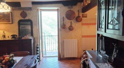 Appartamento 5 locali di 100 m² a Castel Vittorio (18030)