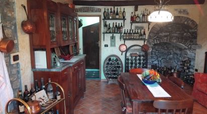 Appartamento 5 locali di 100 m² a Castel Vittorio (18030)