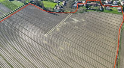 Villa storica 20 locali di 800 m² in Bondeno (44012)