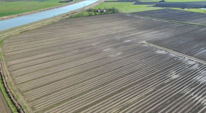 Villa storica 20 locali di 800 m² in Bondeno (44012)