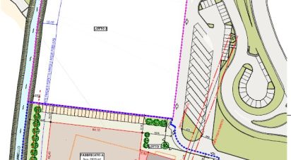 Capannone di 24.000 m² in Pianiga (30030)