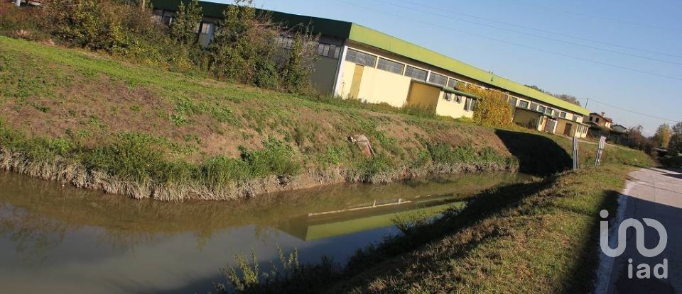 Capannone di 24.000 m² in Pianiga (30030)