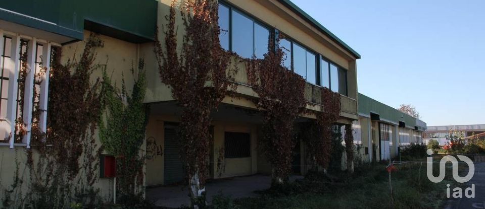 Capannone di 24.000 m² in Pianiga (30030)
