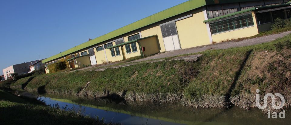 Capannone di 24.000 m² in Pianiga (30030)