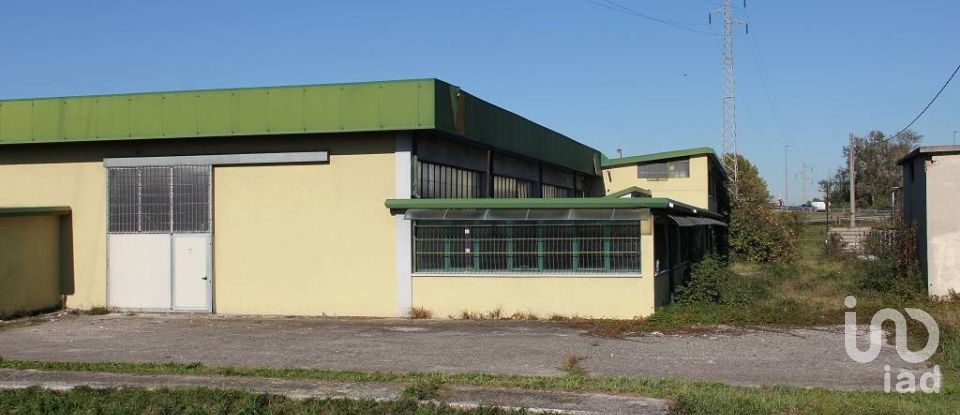 Capannone di 24.000 m² in Pianiga (30030)