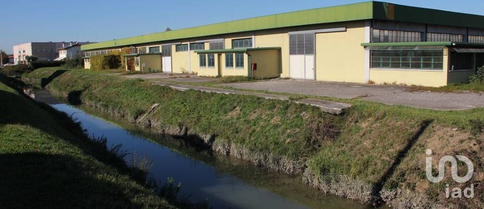 Capannone di 24.000 m² in Pianiga (30030)