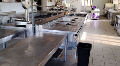 Varie superfici di 720 m² in Ripe San Ginesio (62020)