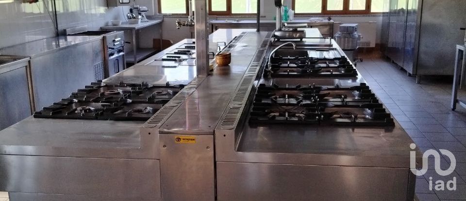 Varie superfici di 720 m² in Ripe San Ginesio (62020)