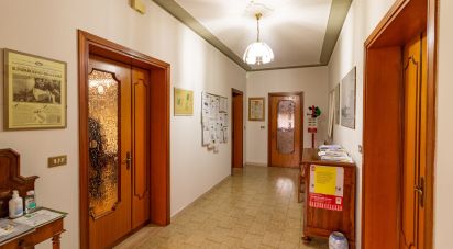 Appartamento 5 locali di 178 m² a Montagnana (35044)