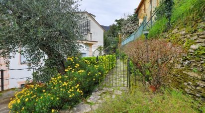 Appartamento 11 locali di 163 m² a Rapallo (16035)