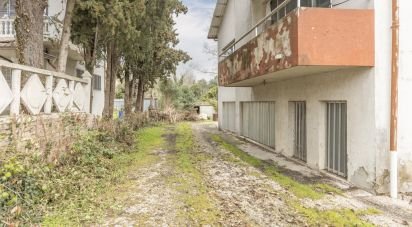 Casa indipendente / Villa 0 locali di 167 m² in Monterado (60012)